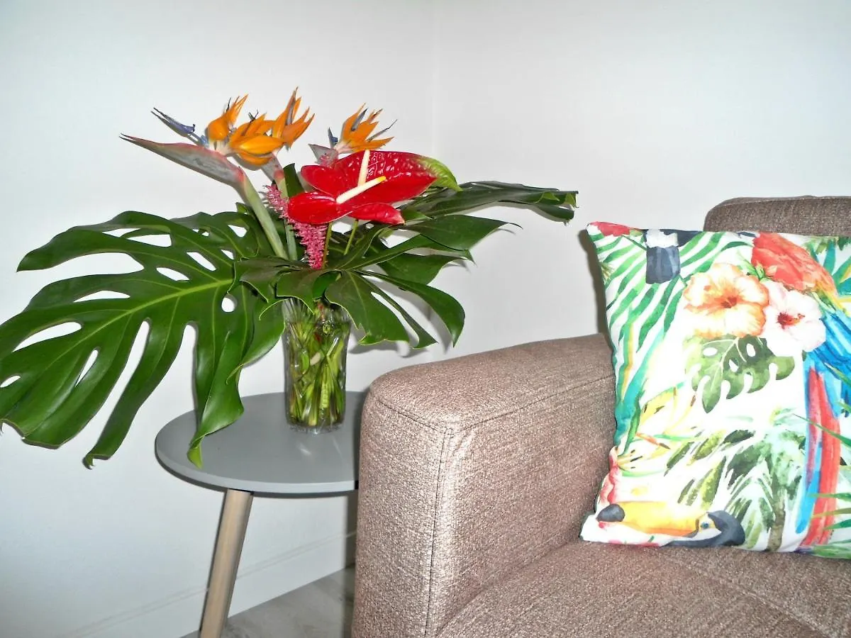 Terrace Apartment Funchal  Portugal
