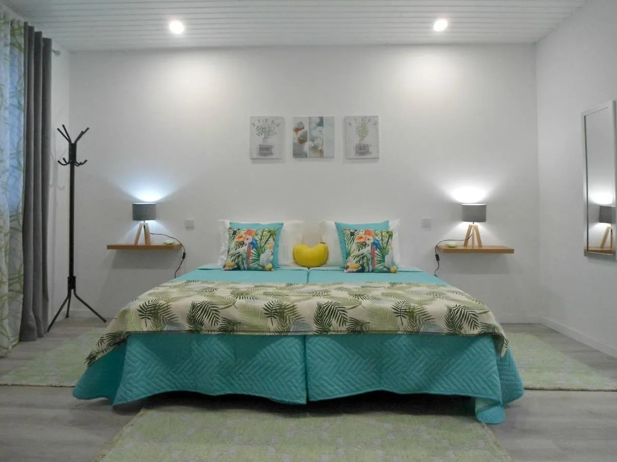Terrace Apartment Funchal  Funchal (Madeira)